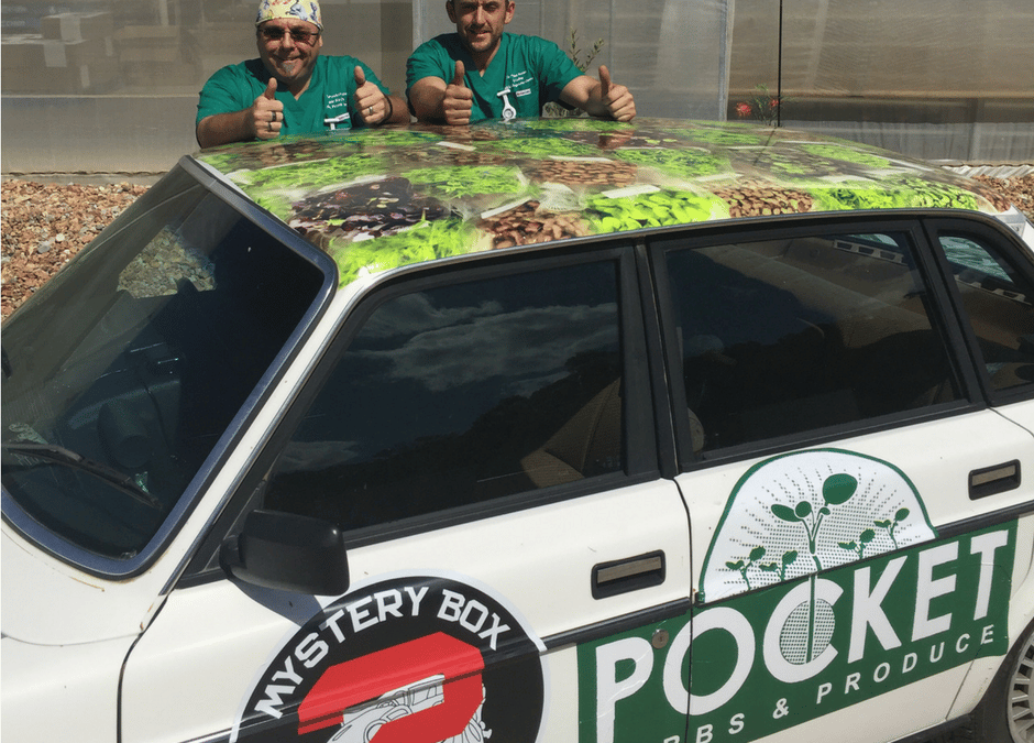 Team Pocket Rocket Complete Mystery Box Rally and Raise $7511.56